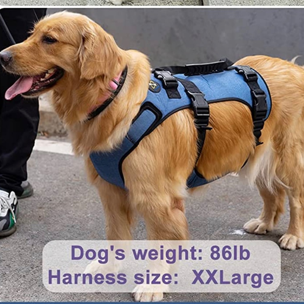 Dog lift harness